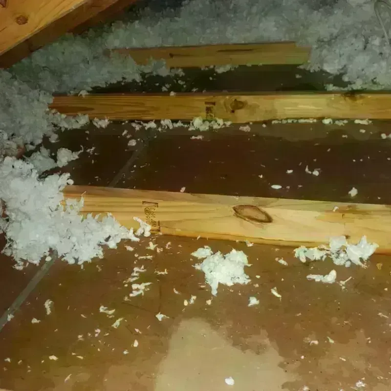 Attic Water Damage in Bee County, TX