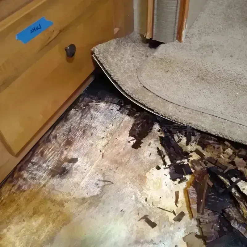 Best Wood Floor Water Damage Service in Bee County, TX